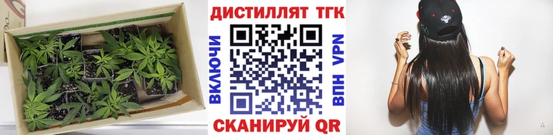 Дистиллят ТГК Wax  blacksprut рабочий сайт  Дигора  закладки 